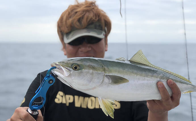 テンヤタチウオ＆ノマセ青物リレー船で型数共に満喫【淡路島・小溝丸】