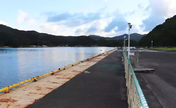 「メガフロートで半夜釣り　足元安全でファミリーにもオススメ！【三重】」の画像