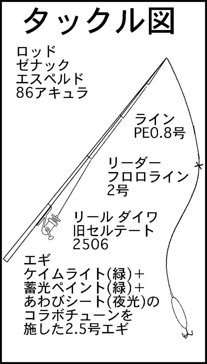 波止エギングで18cmまでのアオリイカ新子連発 沖漬けノルマ達成 福井 19年10月4日 エキサイトニュース