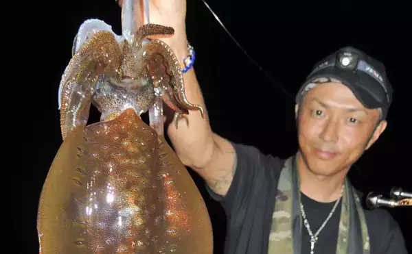 「エギング＆メッキゲームで秋満喫　400gアオリイカ手中【相賀浦漁港】」の画像