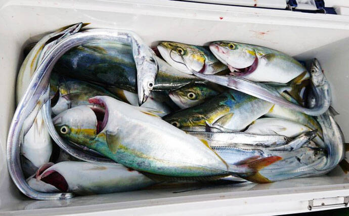 【愛知県】船釣り釣果速報　103cm巨大ブリに幻の魚クエも登場！
