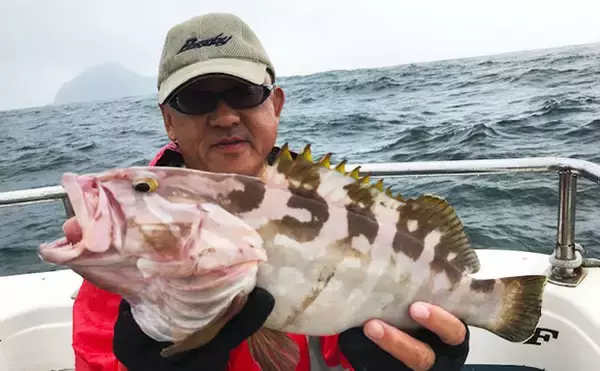 「【愛知県】船釣り釣果速報　103cm巨大ブリに幻の魚クエも登場！」の画像