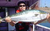 「【愛知県】船釣り釣果速報　103cm巨大ブリに幻の魚クエも登場！」の画像1