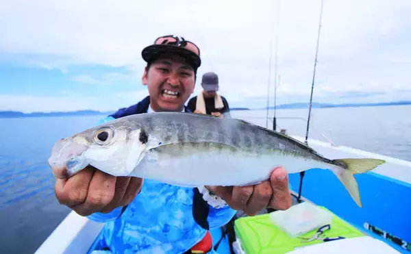 「SLJ＆ボートアジングで良型イサキにマダイに37cmアジ！【長崎県】」の画像