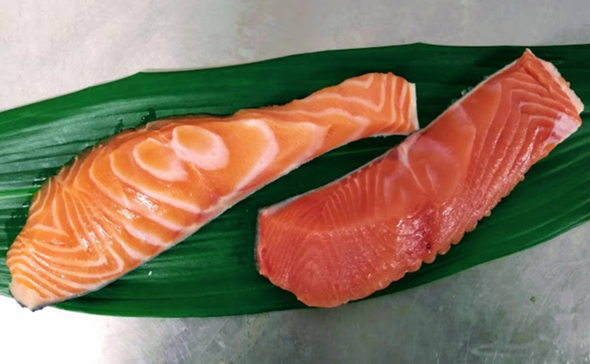 プロが教える おいしい旬魚 の見分け方 秋サケ 商品形態ごとに解説 19年10月19日 エキサイトニュース