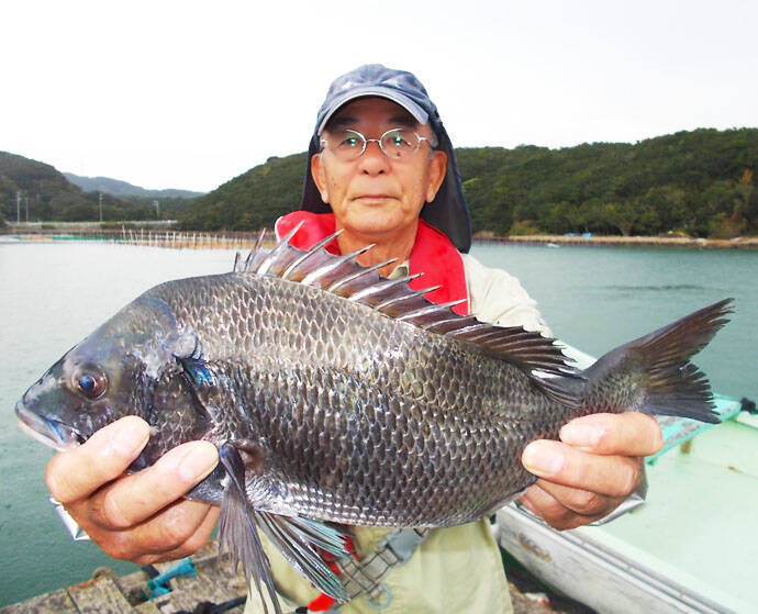【三重県】海上釣り堀釣果速報　マダイ50匹超えに青物ももれなく登場