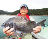 「【三重県】海上釣り堀釣果速報　マダイ50匹超えに青物ももれなく登場」の画像4