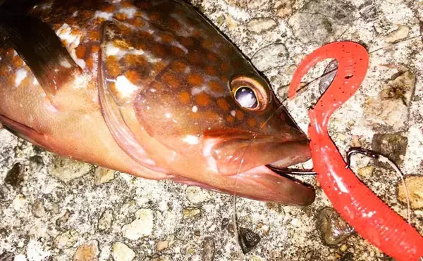「釣りパラダイス『能登半島』　オススメの秋の陸っぱり釣り２選【石川】」の画像