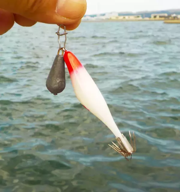 「釣りパラダイス『能登半島』　オススメの秋の陸っぱり釣り２選【石川】」の画像