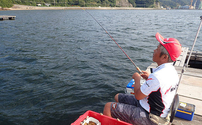 チヌカカリ釣りにマストな2大釣法 ダンゴ釣り 落とし込み 解説 19年10月16日 エキサイトニュース