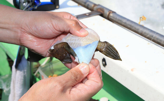 カワハギの『キモ』を新鮮に食す2つの下処理方法　釣ったら取り出す？