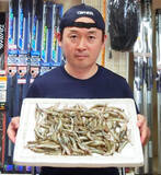 「ちょい投げハゼ釣り　2時間で14cm頭に225尾【愛知県・木曽川】」の画像2