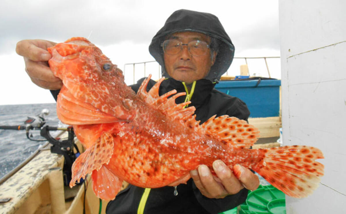 外房オニカサゴ釣りで1 5kg級頭にキロ超え連発 第2二三丸 19年10月18日 エキサイトニュース