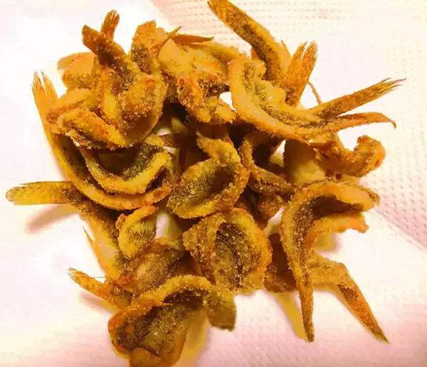 「ハゼ狙いのミャク釣りで15cm頭に2時間で57尾【千葉・木更津港】」の画像