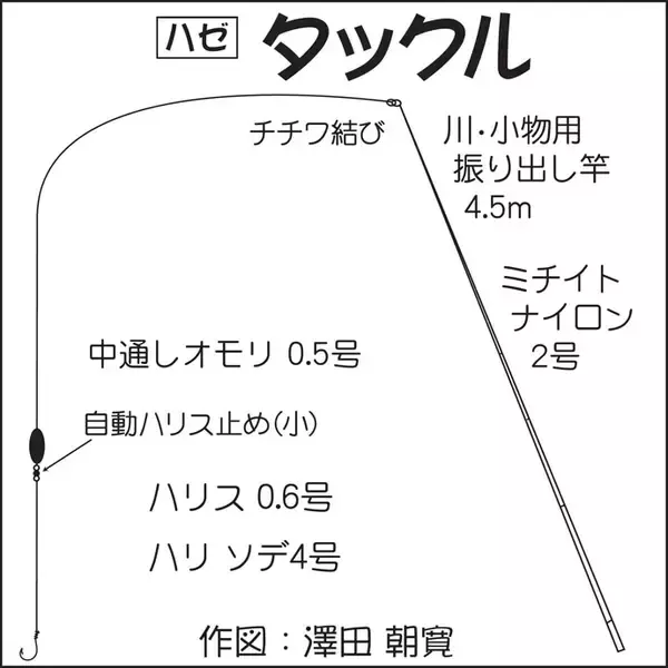 「ハゼ狙いのミャク釣りで15cm頭に2時間で57尾【千葉・木更津港】」の画像