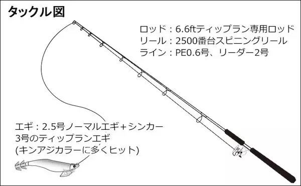「ゴムボートティップランエギングで合計24杯　楽しみ方と注意点も解説」の画像