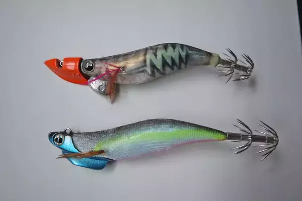 「ゴムボートティップランエギングで合計24杯　楽しみ方と注意点も解説」の画像