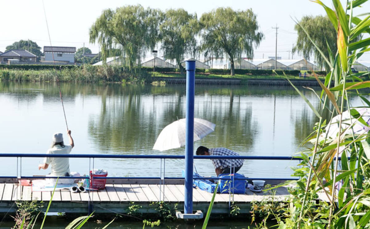 今週のヘラブナ推薦釣り場 群馬県 近藤沼 19年10月16日 エキサイトニュース