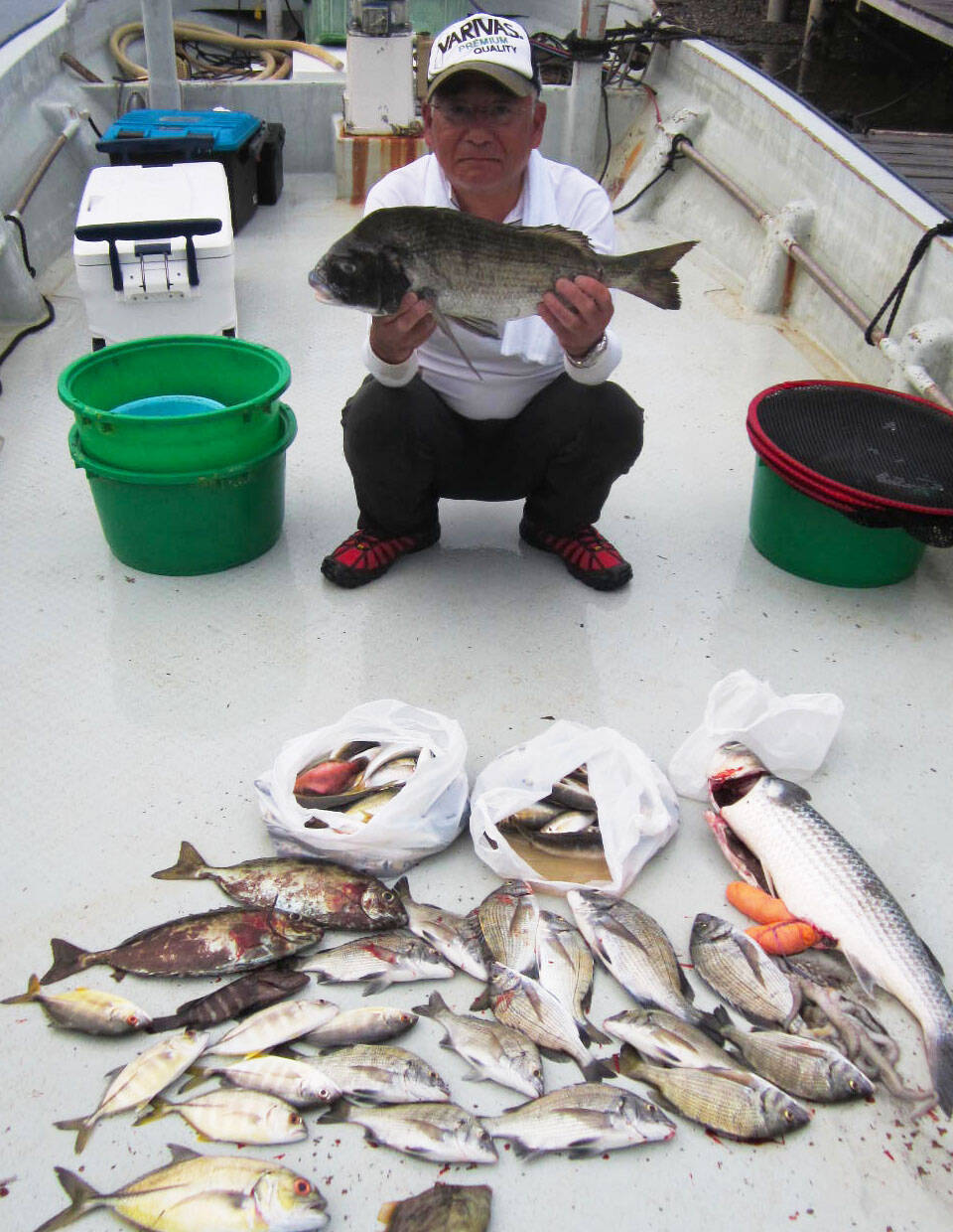 三重県 イカダ カセ最新釣果 53 5cmクロダイに秋アオリ好調 19年10月16日 エキサイトニュース