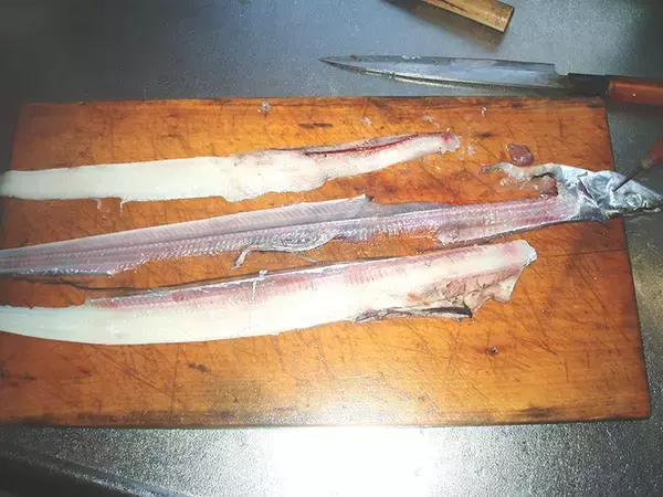 「【釣果レシピ】小型タチウオの美味しい食べ方：目打ちで捌くのがオススメ」の画像