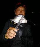 「名古屋港チニングゲームでレア魚『チャイロマルハタ』　多魚種と戯れる」の画像5