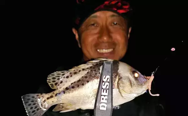 「名古屋港チニングゲームでレア魚『チャイロマルハタ』　多魚種と戯れる」の画像