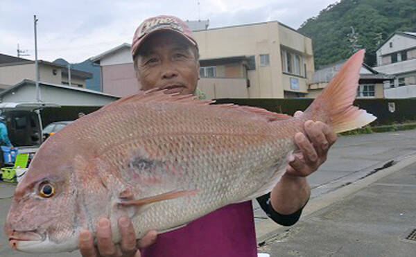 三重県 イカダ カセ釣果速報 73cm大型マダイにアオリイカも好調 19年10月23日 エキサイトニュース