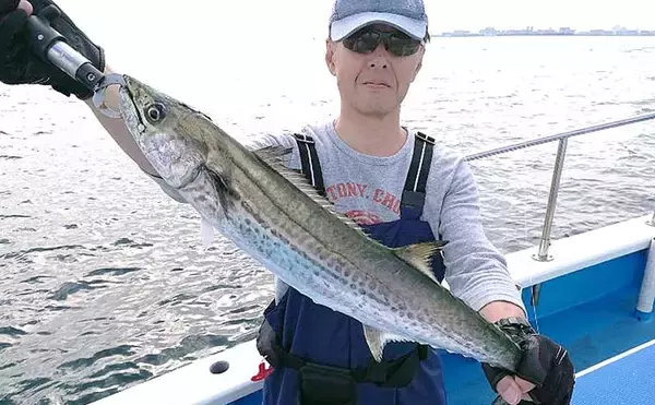 「今シーズン期待度大の『東京湾青物ジギング』初心者入門　推薦船宿4選も」の画像