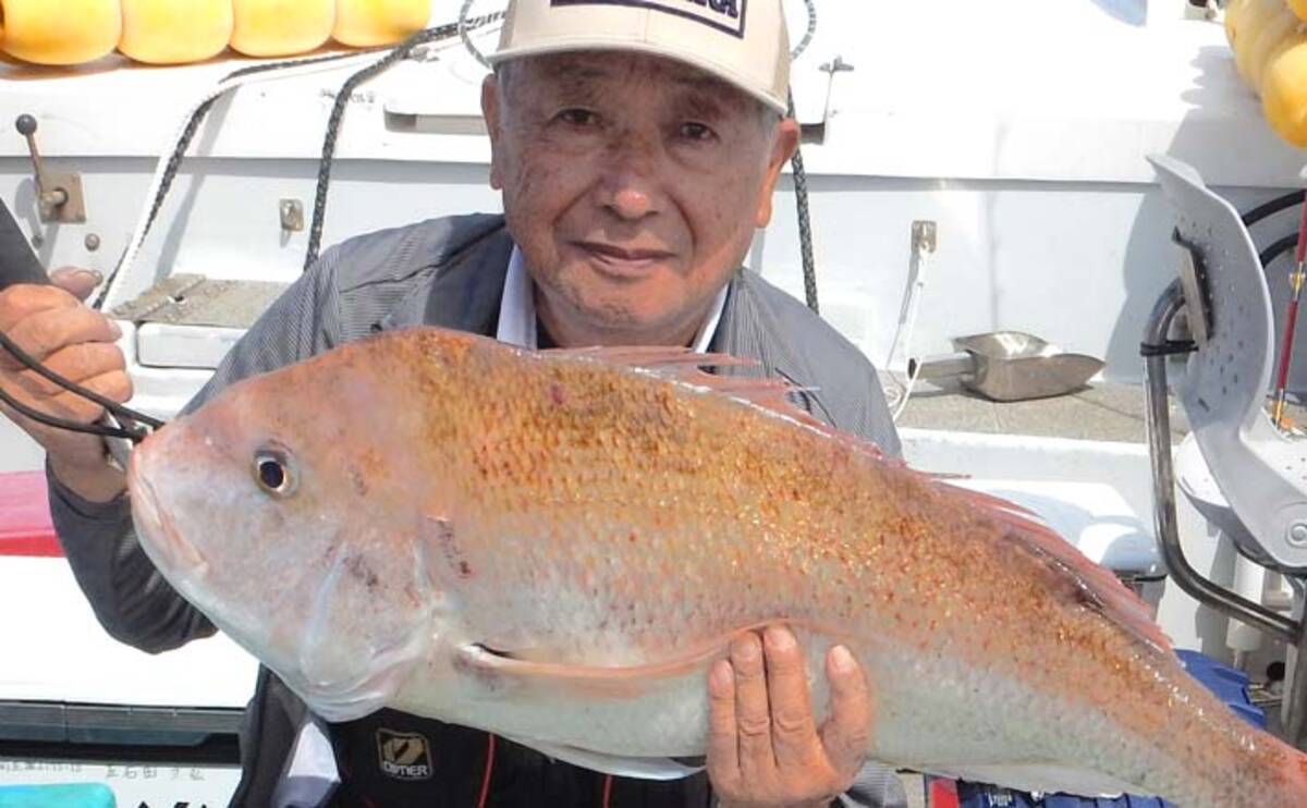 落とし込み釣りで7kgマダイ 14号仕掛け切る大型も 第二大福丸 19年10月26日 エキサイトニュース