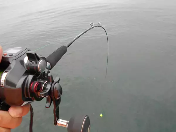 「明石沖ボートチョクリ釣り　『超時合い』逃さず2時間でハマチ8匹！」の画像