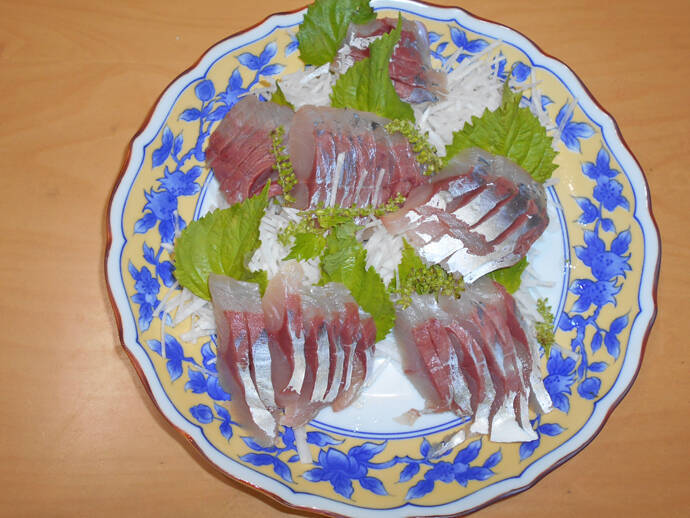 明石沖ボートチョクリ釣り　『超時合い』逃さず2時間でハマチ8匹！