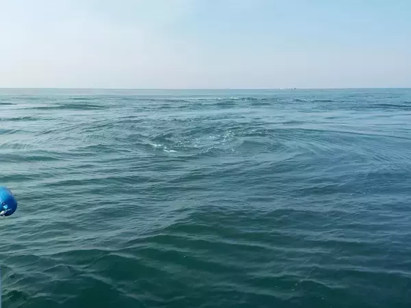 「明石沖ボートチョクリ釣り　『超時合い』逃さず2時間でハマチ8匹！」の画像