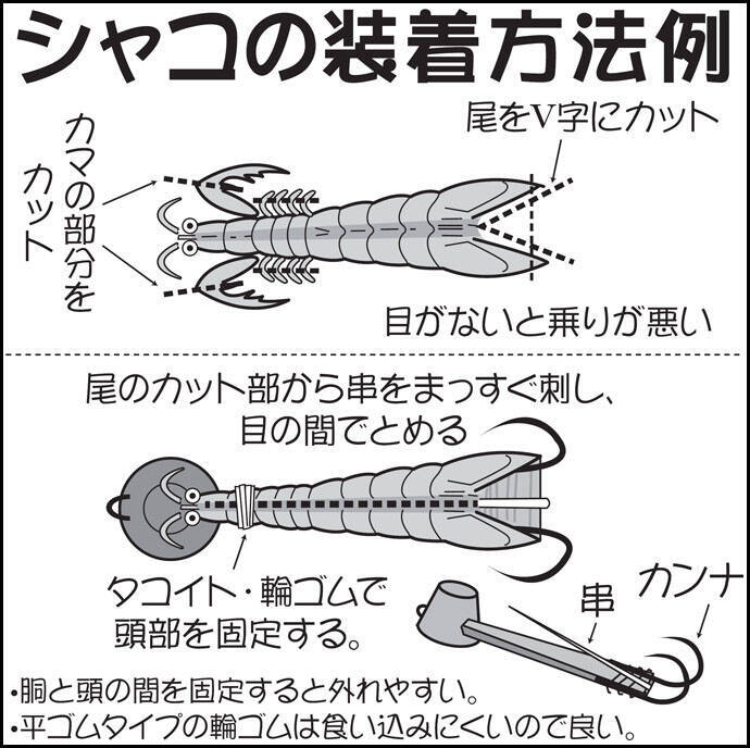 19東京湾 スミイカ狙い シャコテンヤ釣り 初心者入門解説 19年10月27日 エキサイトニュース