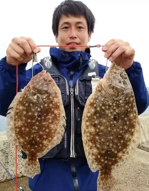「波止でのショアジギングで43cmガンゾウヒラメにサゴシ【鍋串漁港】」の画像