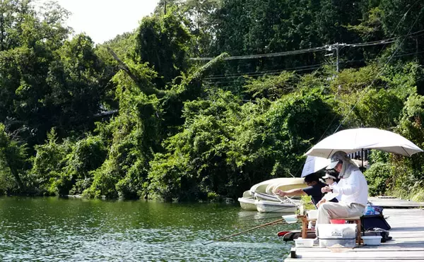 「伊藤さとしのプライムフィッシング【秋のチョウチン釣り：第3回】」の画像