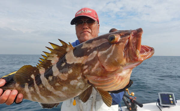 玄界灘 落とし込み 釣りで大型魚乱舞 6 4調子の竿が奏功 福岡 19年11月1日 エキサイトニュース