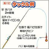 「東京湾の秋の風物詩『船ハゼ』実釣取材　手バネで満喫！【深川富士見】」の画像2