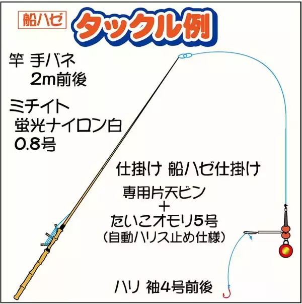 「東京湾の秋の風物詩『船ハゼ』実釣取材　手バネで満喫！【深川富士見】」の画像