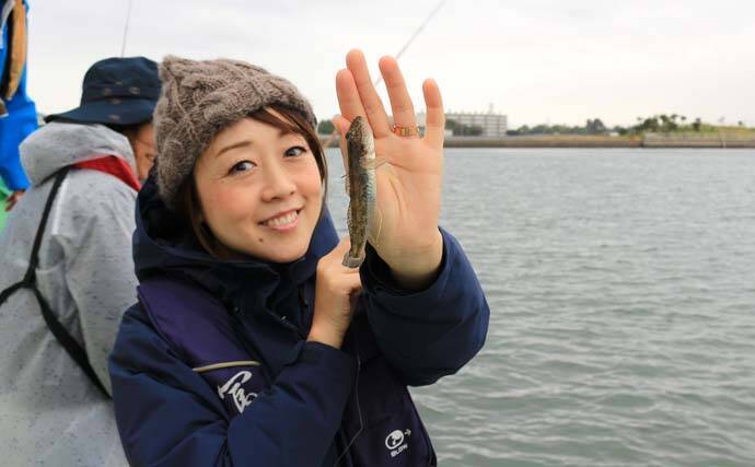 東京湾の秋の風物詩『船ハゼ』実釣取材　手バネで満喫！【深川富士見】