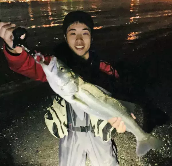 「コノシロ引掛け泳がせ釣りで87cmランカーシーバス御用【三保海岸】」の画像