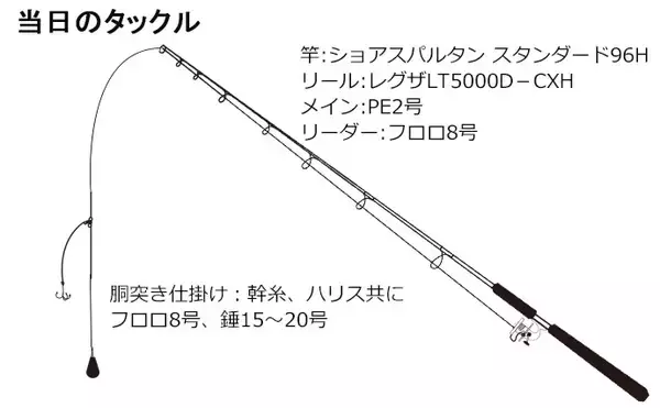 「コノシロ引掛け泳がせ釣りで87cmランカーシーバス御用【三保海岸】」の画像