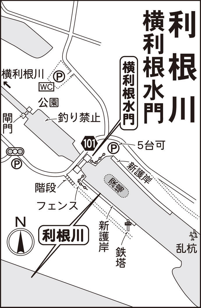 今週のヘラブナ推薦釣り場 利根川 横利根水門下流 19年10月29日 エキサイトニュース