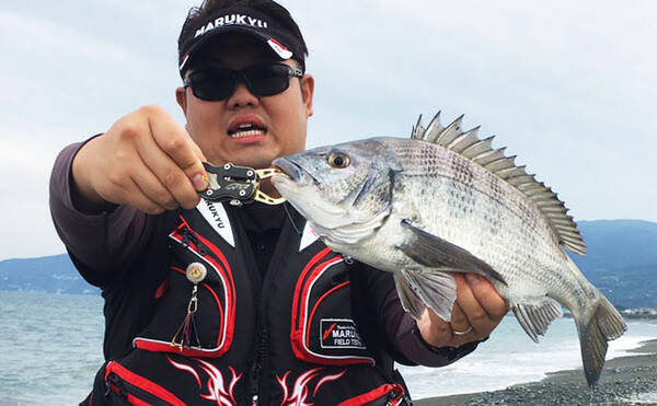 西湘サーフの渚釣りで41cm頭に本命クロダイ4尾 酒匂海岸 19年10月31日 エキサイトニュース