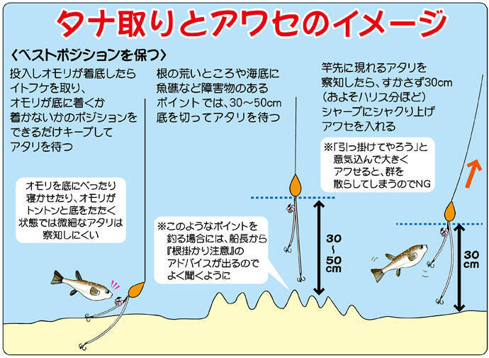 秋シーズン盛期のショウサイフグ カットウ釣り 初心者入門 関東 19年11月7日 エキサイトニュース