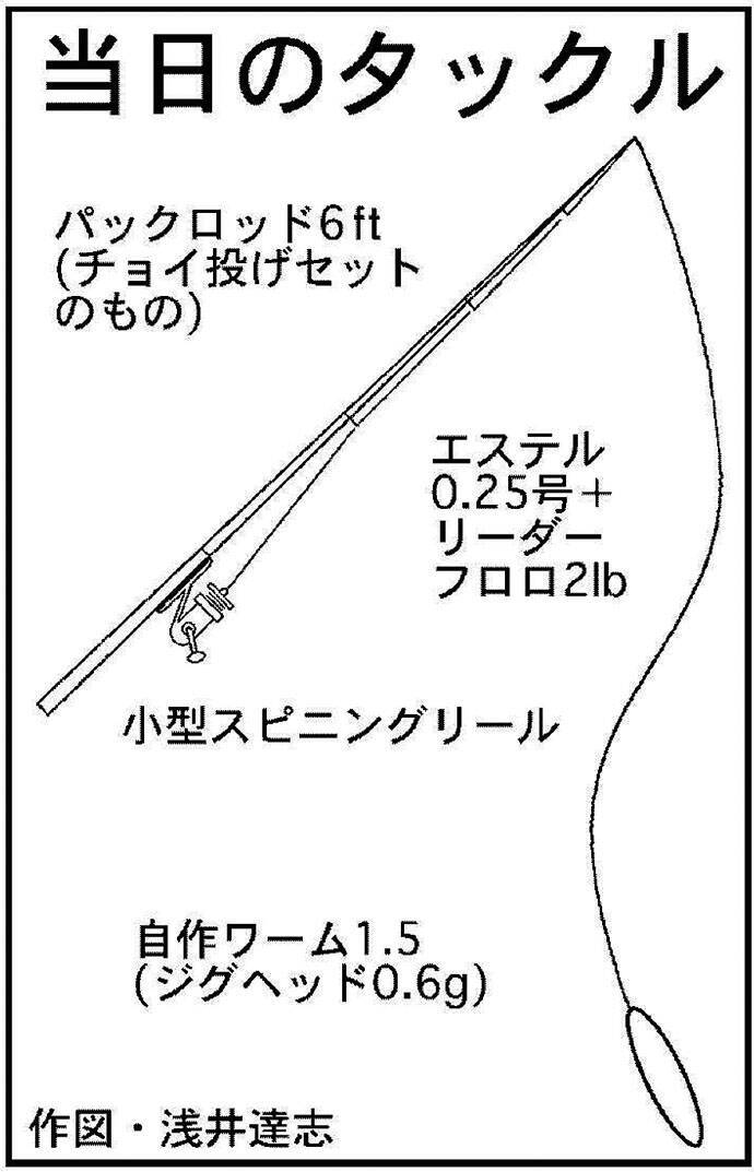 100均タックル アジングで24cm頭に良型中心54匹 安乗漁港 19年11月7日 エキサイトニュース