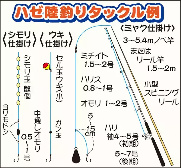 「江戸前高級魚『マハゼ』の釣り方　船＆陸っぱりそれぞれのキホンを紹介」の画像
