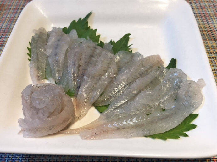 江戸前高級魚『マハゼ』の釣り方　船＆陸っぱりそれぞれのキホンを紹介