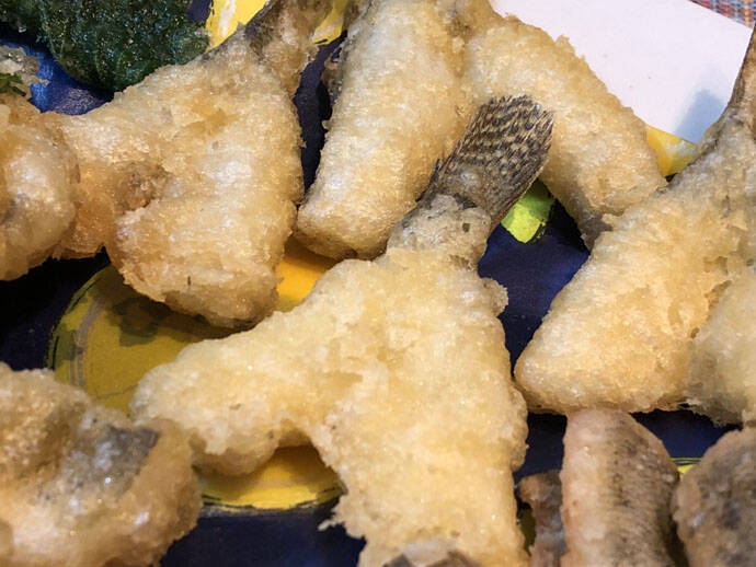 江戸前高級魚『マハゼ』の釣り方　船＆陸っぱりそれぞれのキホンを紹介