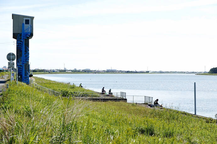 今週のヘラブナ推薦釣り場 常陸利根川 海洋マリーナ周辺 19年11月6日 エキサイトニュース
