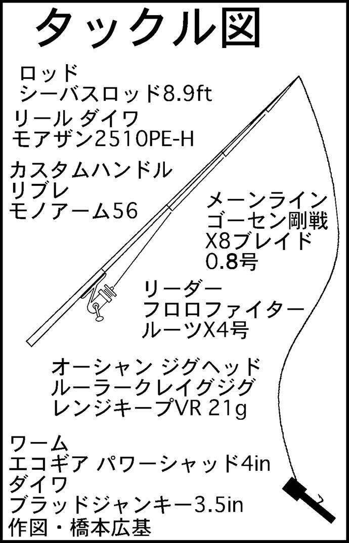 陸っぱりロックゲームでレア魚 チャイロマルハタ 登場に感動 錦漁港 19年11月6日 エキサイトニュース